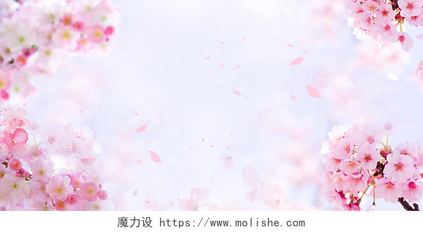 粉蓝色春天花卉简约文艺小清新唯美樱花展板背景背景素材